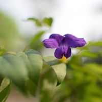 സജിൻ കെ എൻ