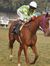 Akash R...