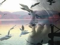 الشهري غدير