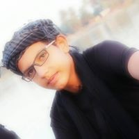 مصطفى الميرزا