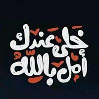 Amr Mohamed