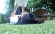 Adelina