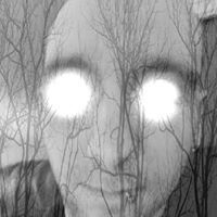 Barry Wollf