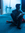 Augusto Rodriguez | 14 comments