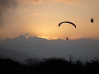 Valentino E Padron V