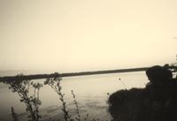 Augustė Almonaitytė