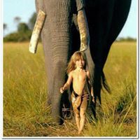 شيماء مولاي علي