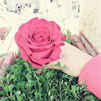 تسنيم زكريا