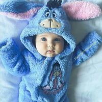 فراشة الزهور