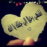 زهرة المدائن