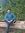 Shahab ...