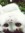 shisue | 2 comments