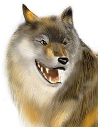 หมาป่าเดียวดาย ..