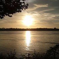 လင္း လင္း