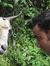Ankit K...