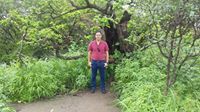 Eng Mohamed