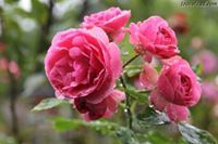 هلاتيسير الحاج زين