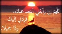وفاء عبد القادر