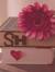 Shaima ...
