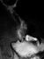 Houda K...