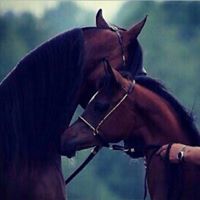 خالد الخالدي