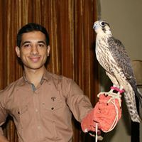 Ahmed Zaidi