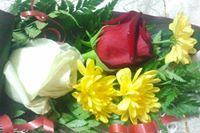 ابراهيم الشيخ محمد