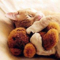 Кристина Николова