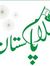Syed Adeel