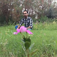 ميثم الفريجي