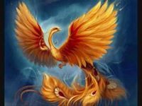 طائر الفينيق
