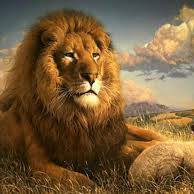 Mohammed AL Bughdadi