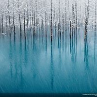 مراد النعيمي