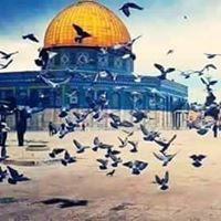 Nour Ahmed