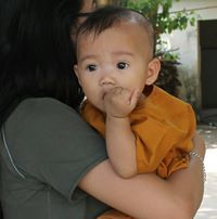 Xịp Sặc Sỡ