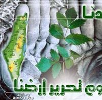 مالك ابو كامل