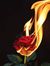 Rose Es...