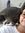 Manoela D Gomes | 7 comments