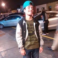 David Torres Aranibar