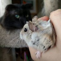 Brienglebert Bagerdink