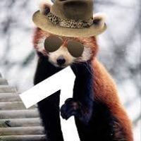 Stefano Rodriguez Matos