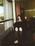 Xiaoqin...