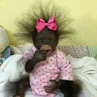 تووووووووته الكتكوووووته