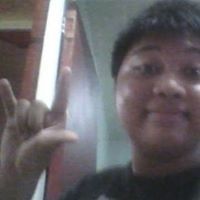 Robert XD