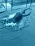 Aniket ...