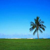 سليمان عبدالله