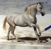 عمرو النحراوى