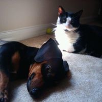 Amanda Hamilton Smith