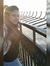 Liza Magdy