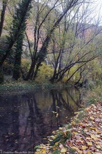 منذر العاتي